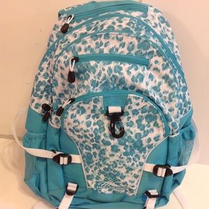 High Sierra Backpack With 17"Laptop pocket